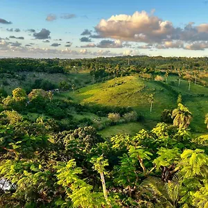 https://villa-vertigo-private-and-versatile.comcaribbean.com